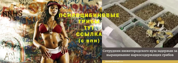 винт Абинск