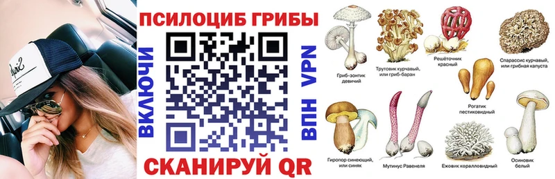 где продают   Зеленодольск  Псилоцибиновые грибы мухоморы 
